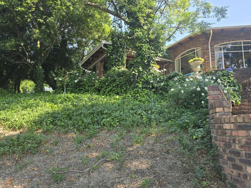 Riverfront Property - Photo 5