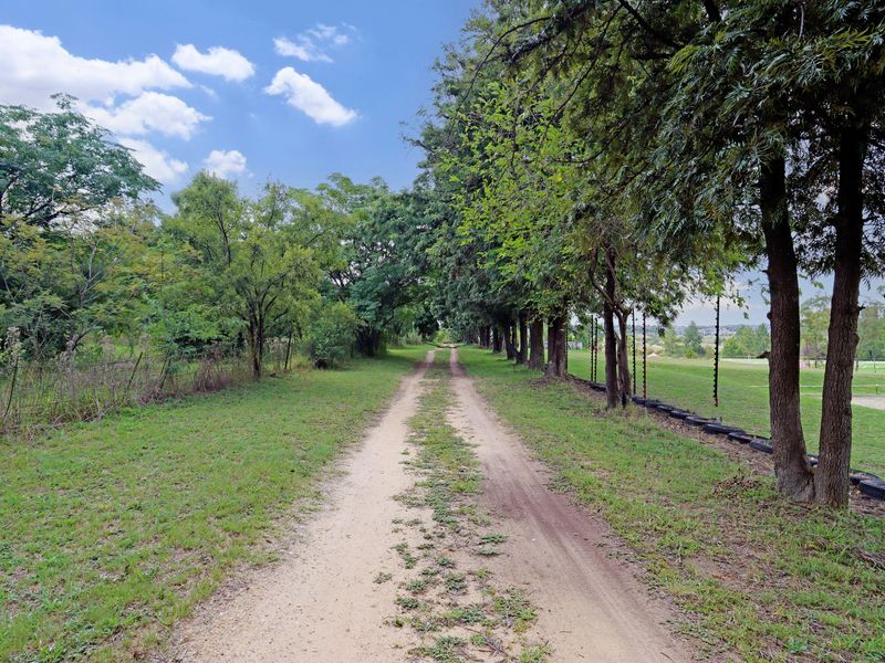 A scenic dirt driveway lined with mature trees and secured by electric fencing, leading towards the property entrance.
