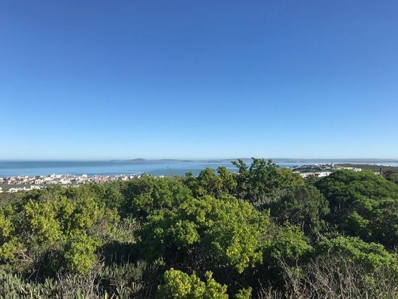 VACANT LAND FOR SALE IN LANGEBAAN - Photo 5