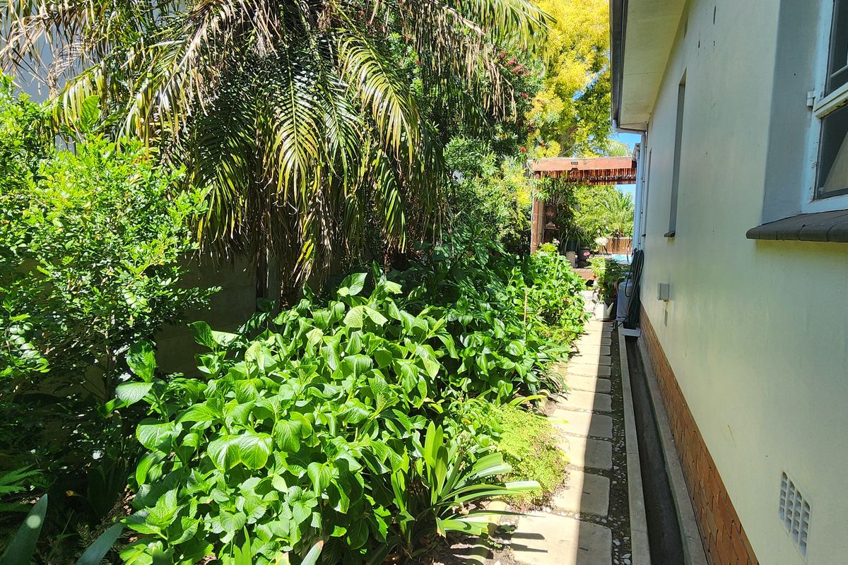 Exceptional Opportunity: 4-Bedroom Home with Operating Business in Tourist Hotspot - Photo 4
