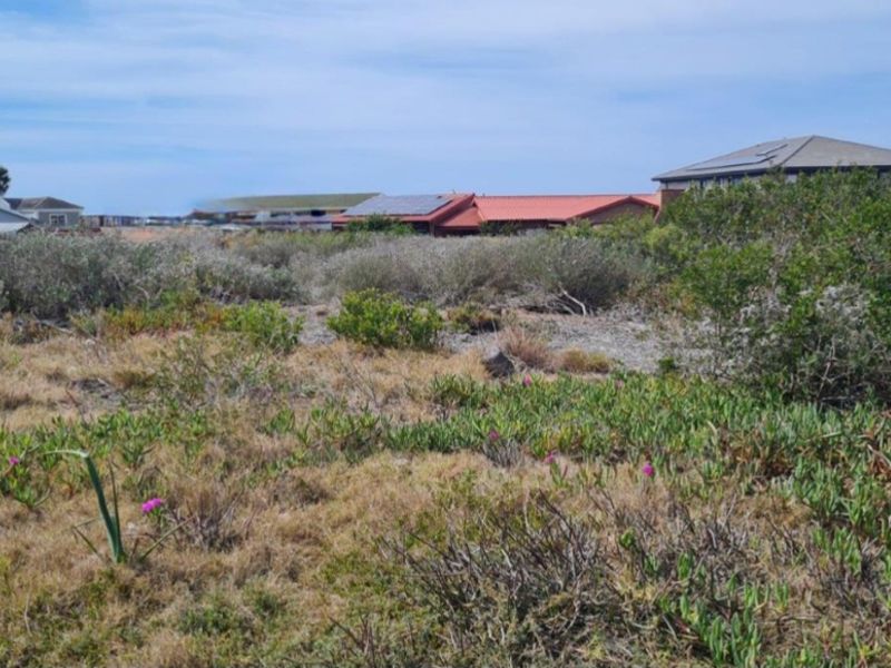 Prime 733m2 Level Stand: Walk to the Beach & Golf Course! - Photo 4