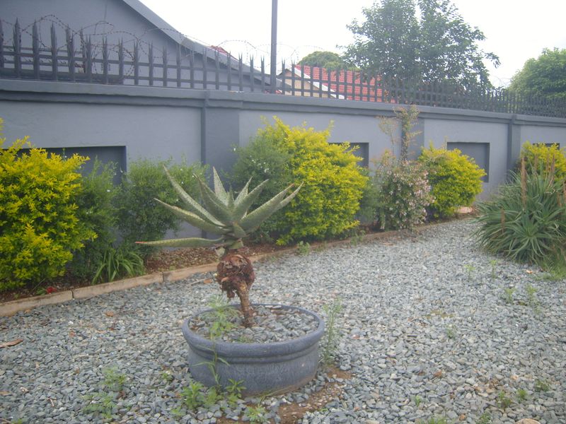 A well-maintained garden area featuring a grey perimeter wall with security spikes and gravel landscaping.