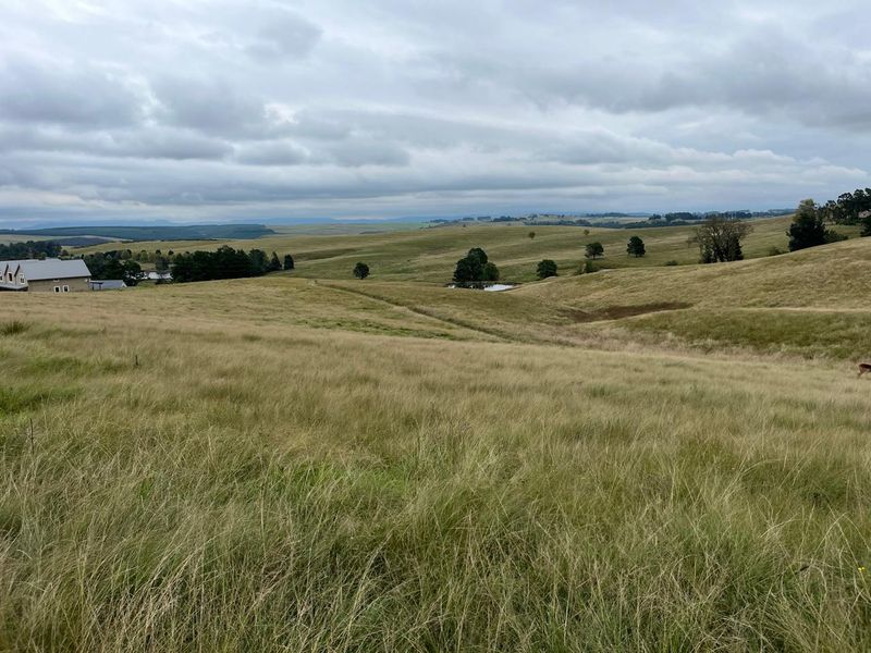 Expansive view of rolling grassy hills and open pasture land under a cloudy sky, showcasing the natural landscape of the property.