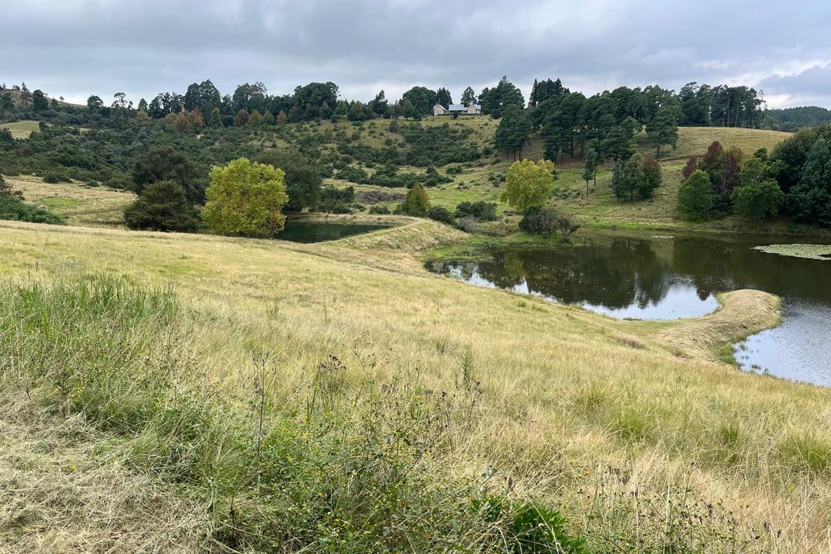 A scenic view of the vacant residential land featuring rolling hills, natural vegetation, and a tranquil pond.