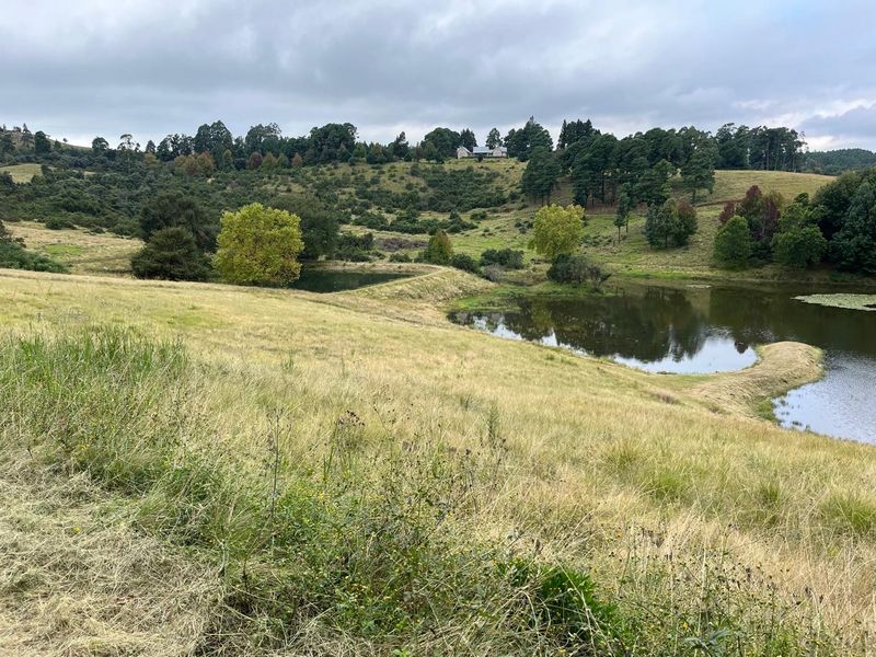 A scenic view of the vacant residential land featuring rolling hills, natural vegetation, and a tranquil pond.