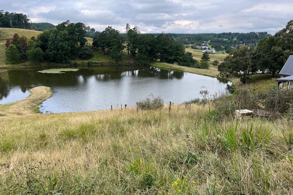 A scenic view of a natural dam surrounded by rolling hills and established trees on a vacant residential property.