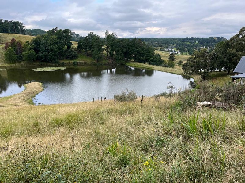 A scenic view of a natural dam surrounded by rolling hills and established trees on a vacant residential property.