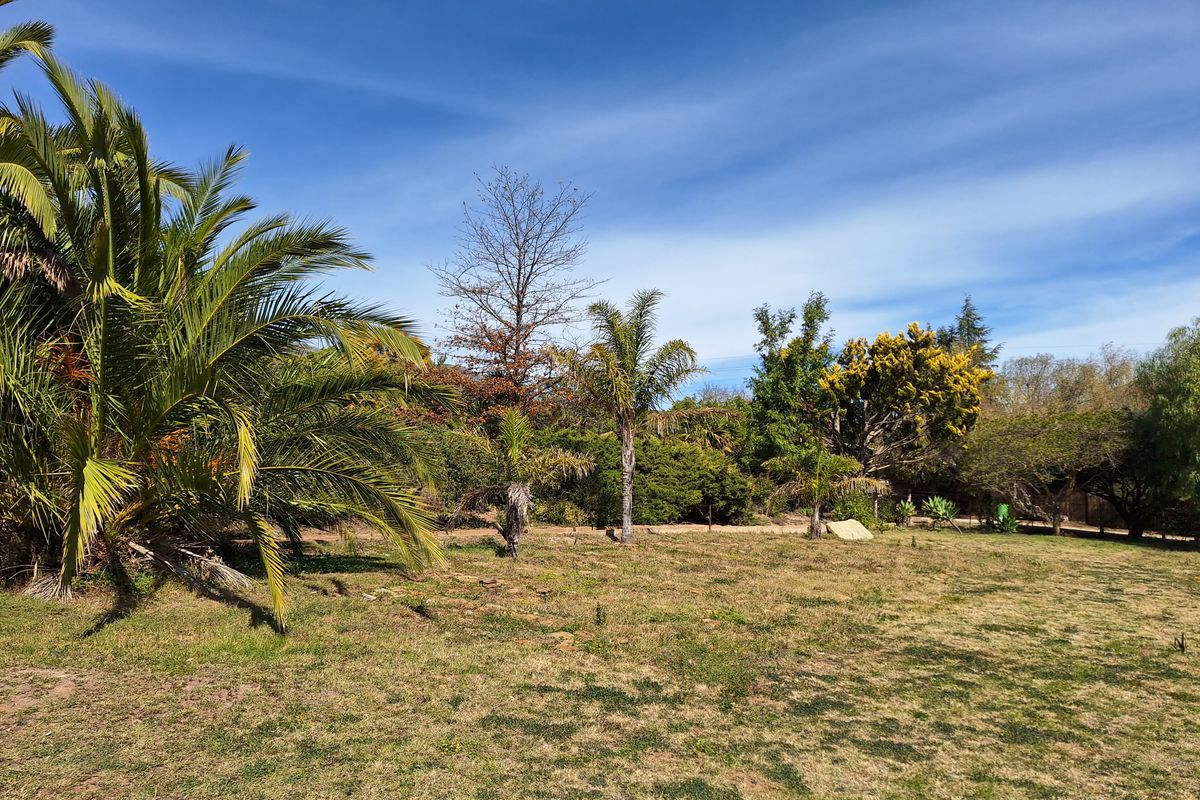 Prime Vacant Stand in Barrydale – Rare "Burgererf" Opportunity - Photo 5