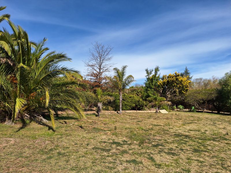 Prime Vacant Stand in Barrydale – Rare "Burgererf" Opportunity - Photo 5