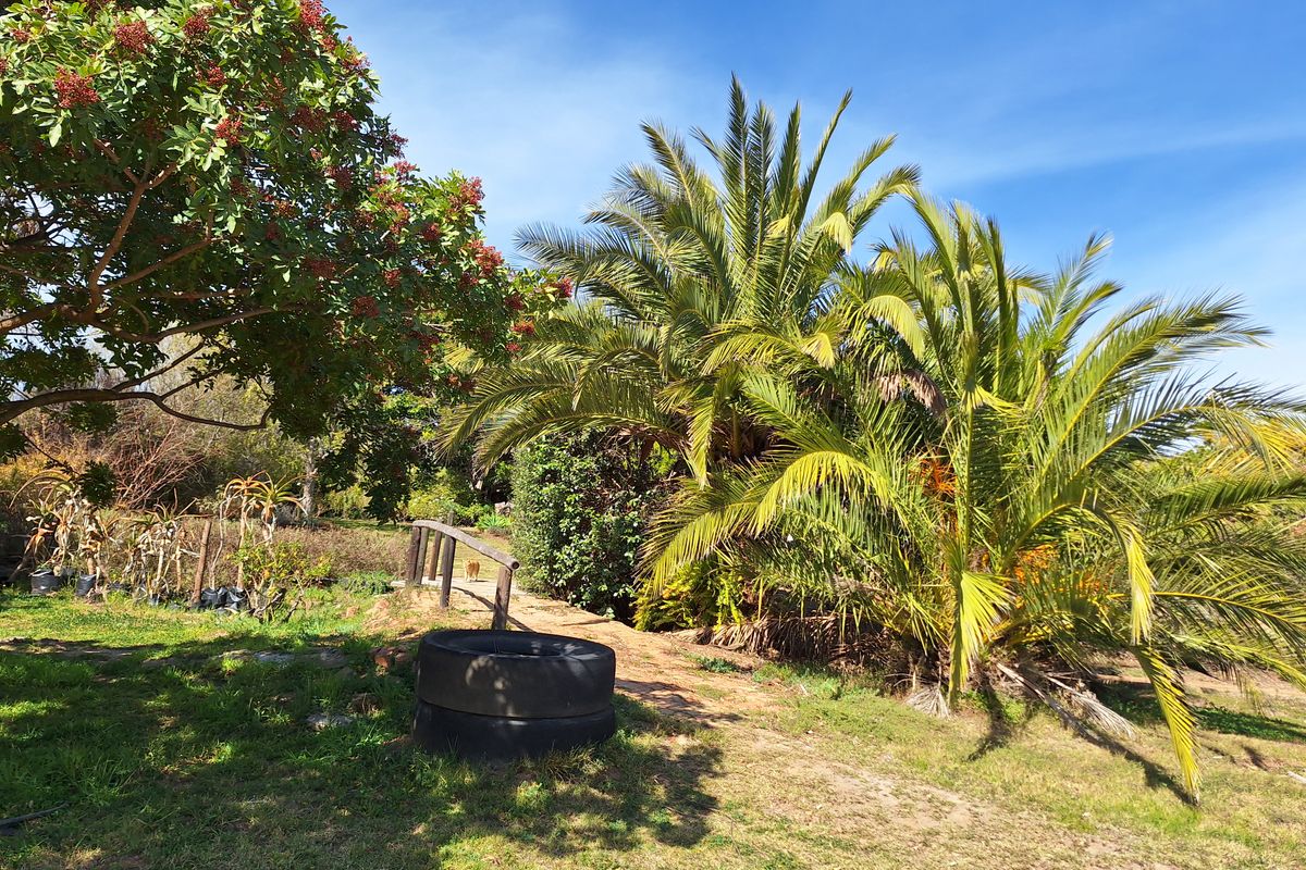 Prime Vacant Stand in Barrydale – Rare "Burgererf" Opportunity - Photo 4