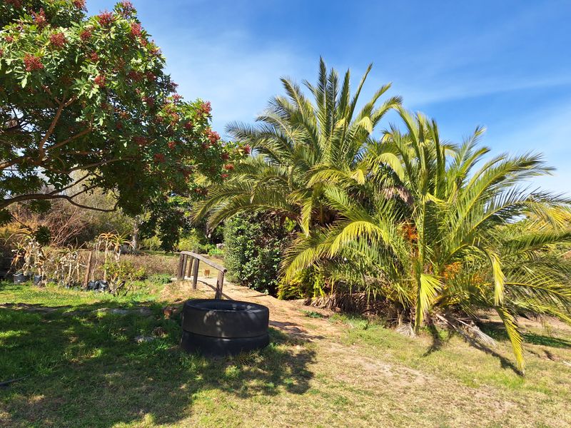 Prime Vacant Stand in Barrydale – Rare "Burgererf" Opportunity - Photo 4