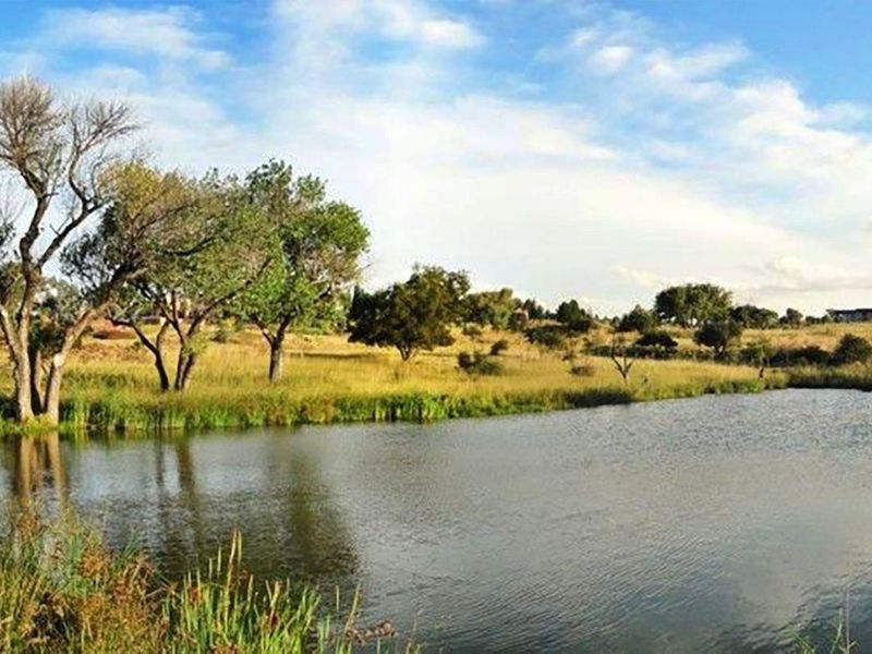 A scenic view of a natural pond surrounded by established trees and open grassy landscape.