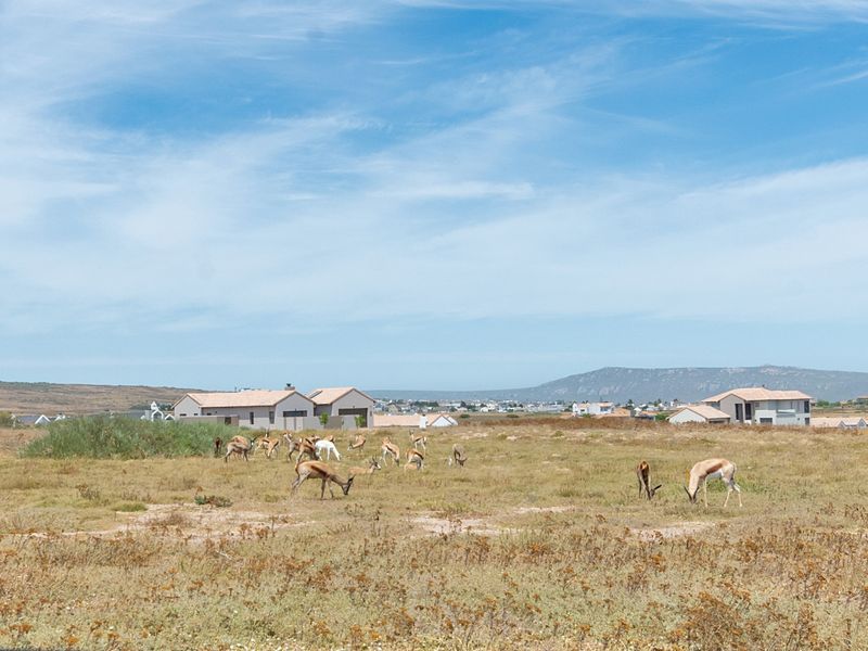 Vacant Land Residential For Sale In Langebaan - Photo 7