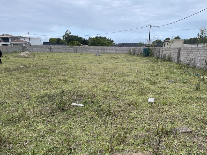 Land for Sale - Photo 5