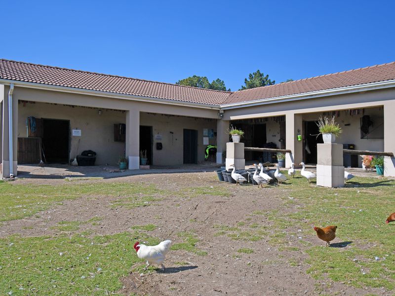 Prime Investment Property with Income-Generating Cottages 2.7 ha - Photo 9