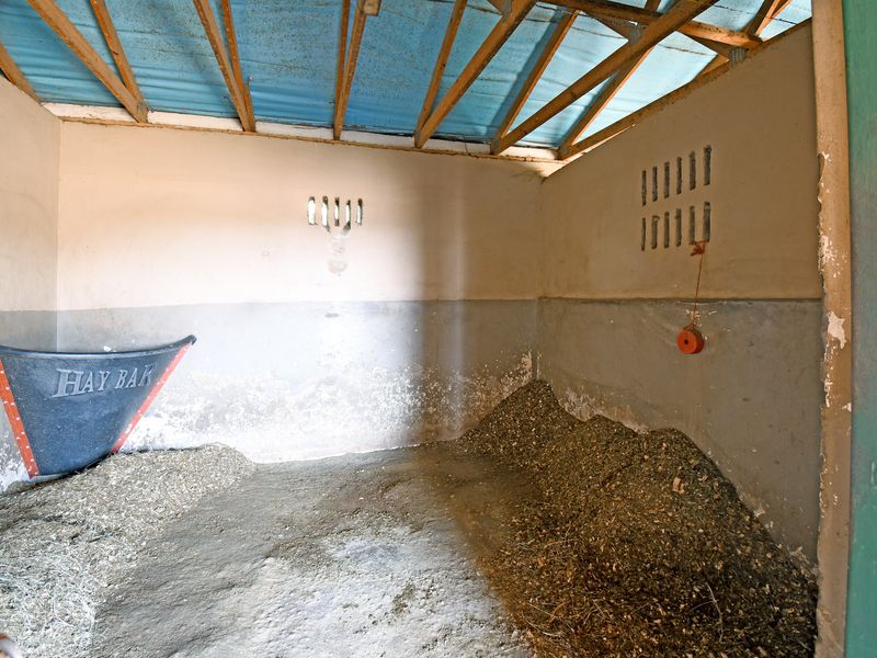 Prime Investment Property with Income-Generating Cottages 2.7 ha - Photo 10