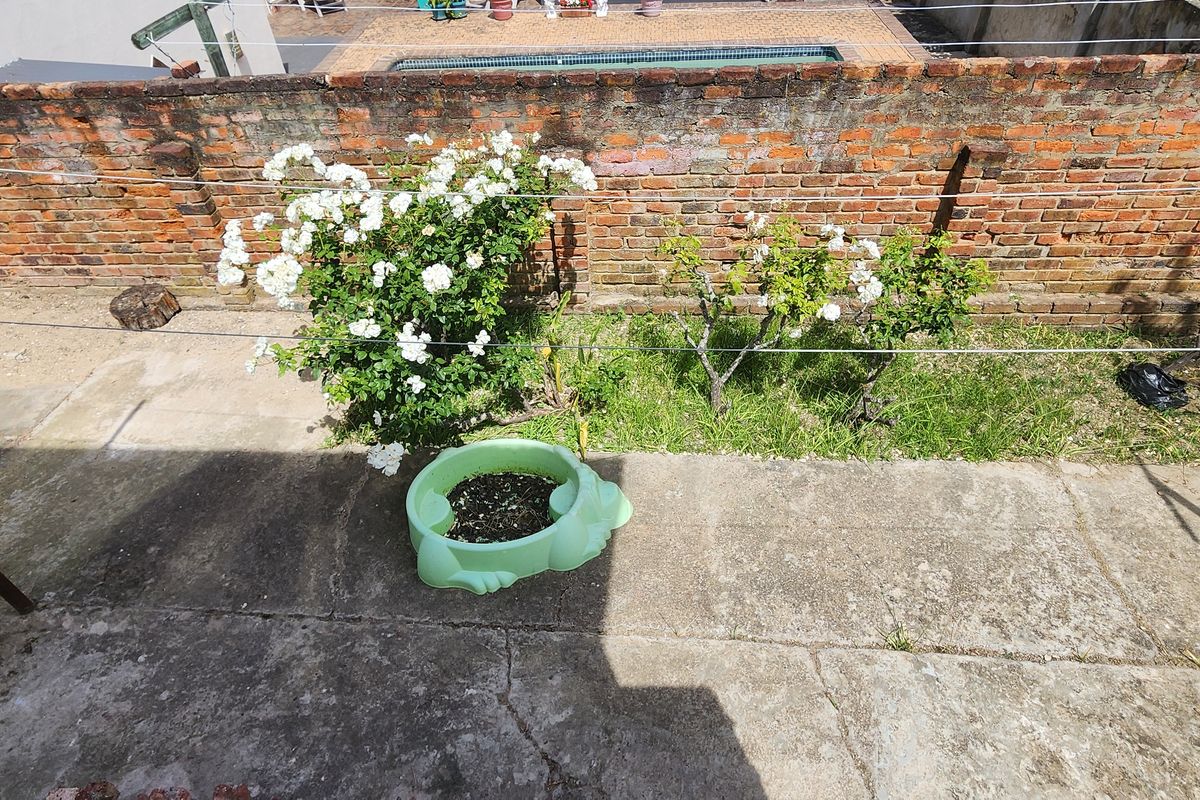 A rear outdoor area featuring a concrete patio, a weathered brick boundary wall, and established garden beds with rose bushes.