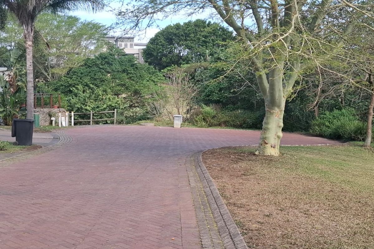 A paved driveway area leading towards a landscaped garden with mature trees and established greenery.