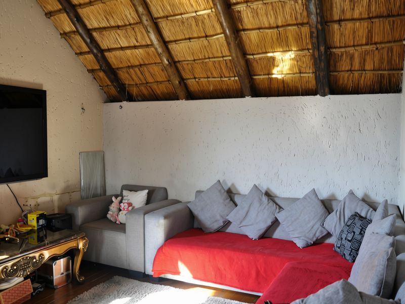 Living room featuring a rustic thatched roof with exposed timber rafters and textured walls, offering a unique architectural character.