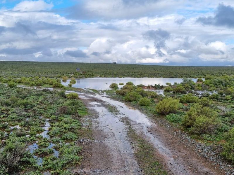 Nieuwoudtville: Leefstyl Plaas - Photo 10