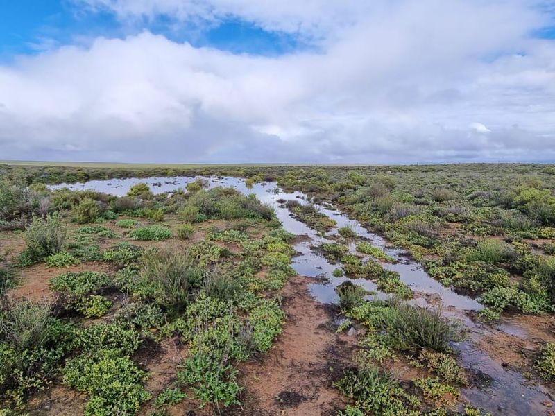 Nieuwoudtville: Leefstyl Plaas - Photo 9