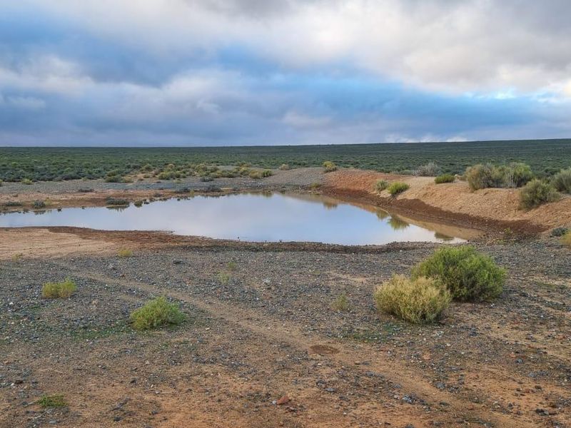 Nieuwoudtville: Leefstyl Plaas - Photo 8