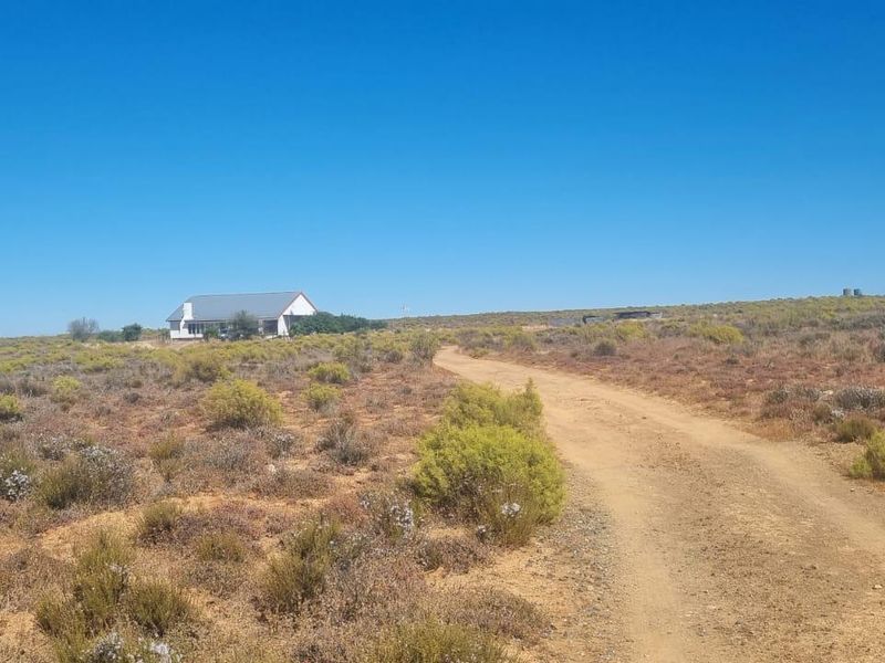 Nieuwoudtville: Leefstyl Plaas - Photo 2