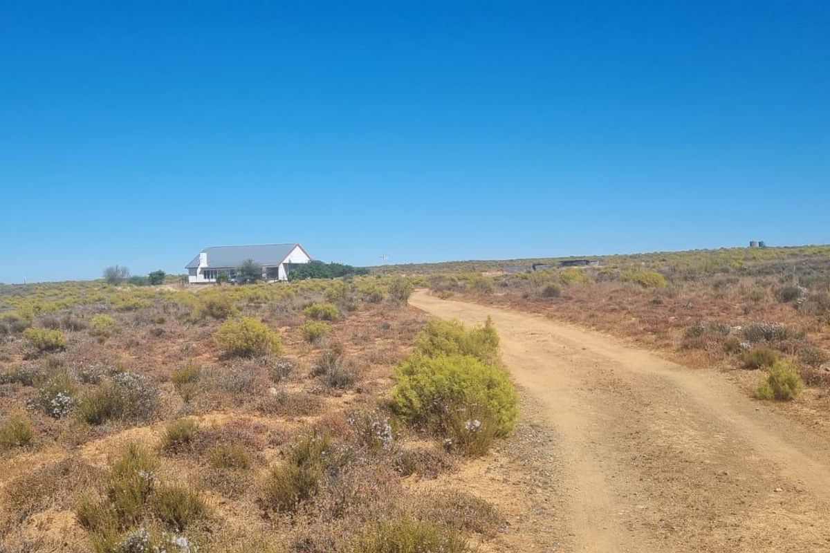 Nieuwoudtville: Leefstyl Plaas - Photo 2