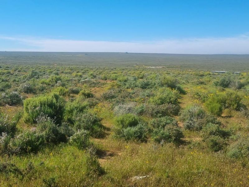 Nieuwoudtville: Leefstyl Plaas - Photo 5