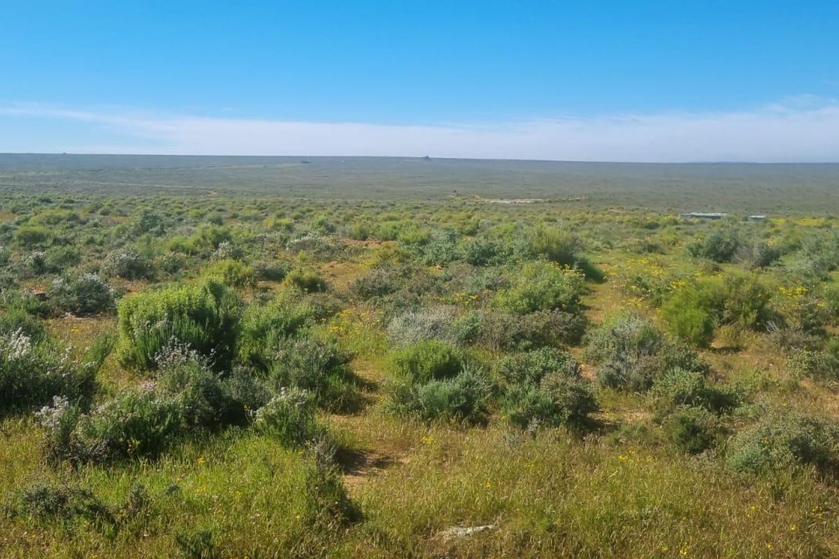 Nieuwoudtville: Leefstyl Plaas - Photo 5