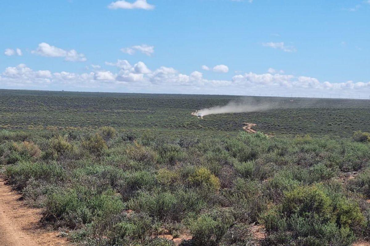 Nieuwoudtville: Leefstyl Plaas - Photo 3