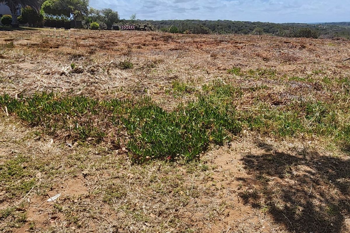Excellent Location — Corner Stand with Endless Potential - Photo 2