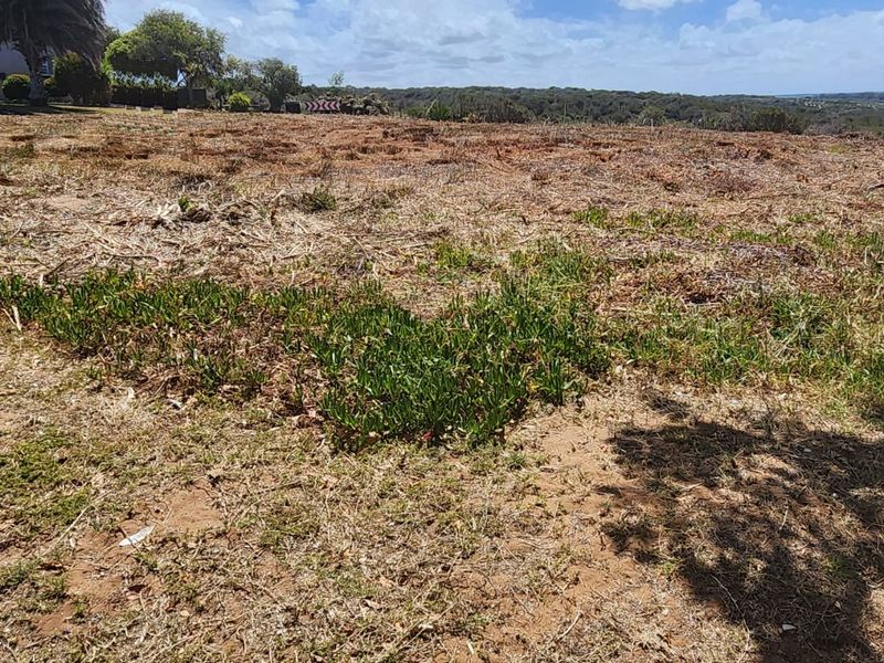Excellent Location — Corner Stand with Endless Potential - Photo 2