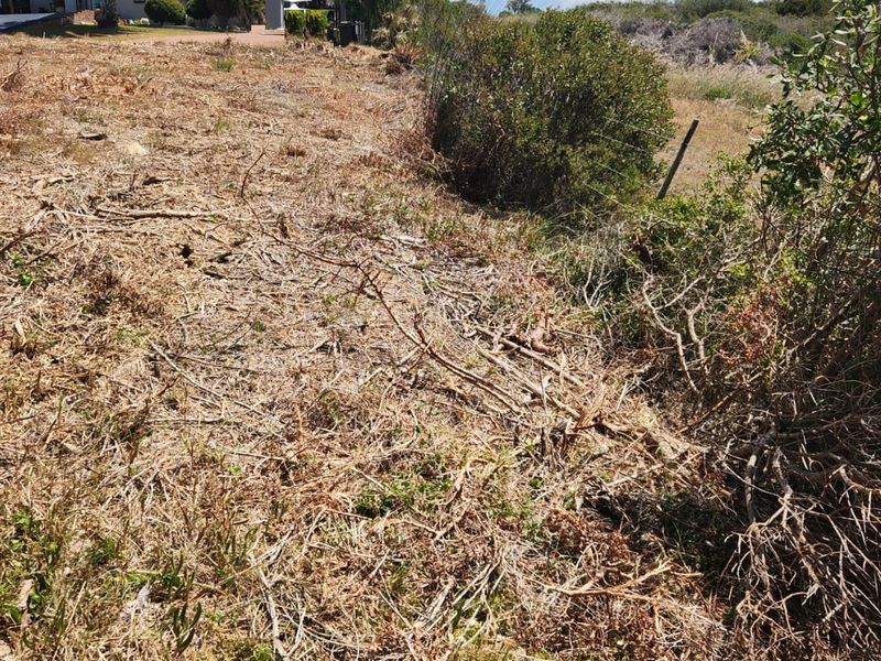 Excellent Location — Corner Stand with Endless Potential - Photo 8