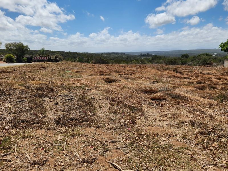 Excellent Location — Corner Stand with Endless Potential - Photo 7