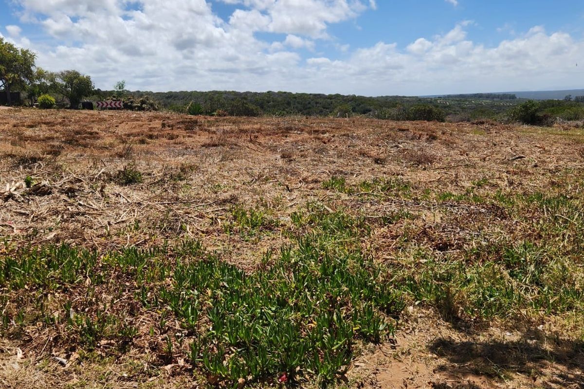 Excellent Location — Corner Stand with Endless Potential - Photo 3