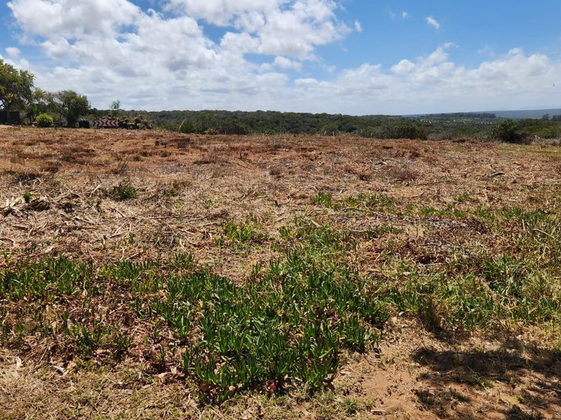 Excellent Location — Corner Stand with Endless Potential - Photo 3