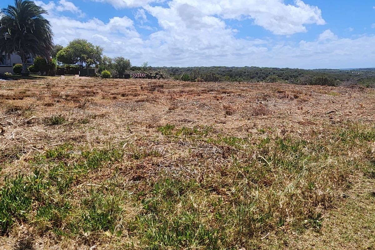 Excellent Location — Corner Stand with Endless Potential - Photo 4