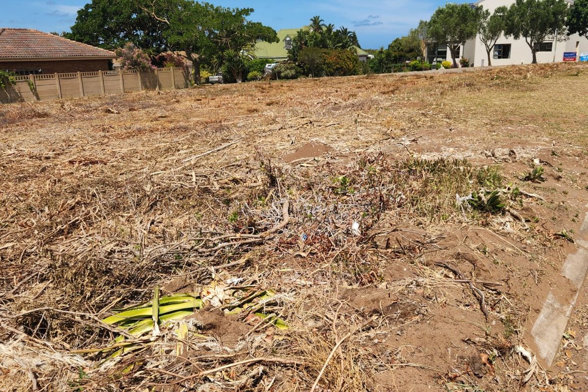 Excellent Location — Corner Stand with Endless Potential - Photo 5