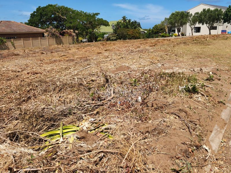 Excellent Location — Corner Stand with Endless Potential - Photo 5