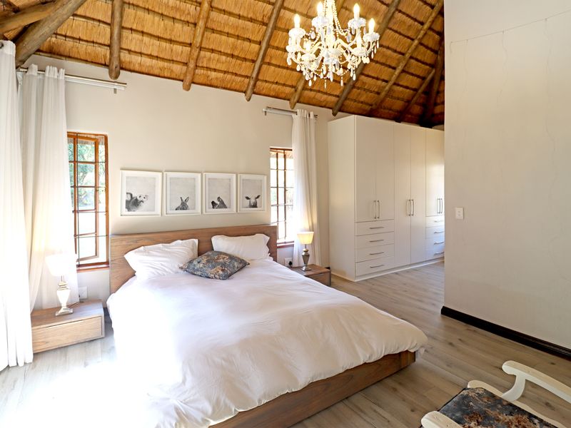 Spacious bedroom featuring a high vaulted thatch ceiling with exposed timber rafters, built-in cabinetry, and modern laminate flooring.