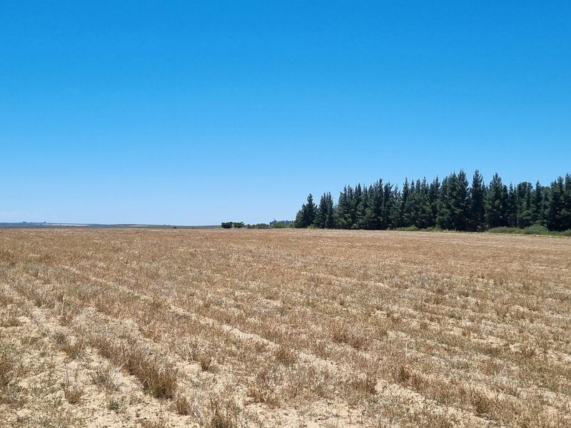 NIEUWOUDTVILLE FARM - 654 Ha - Photo 2