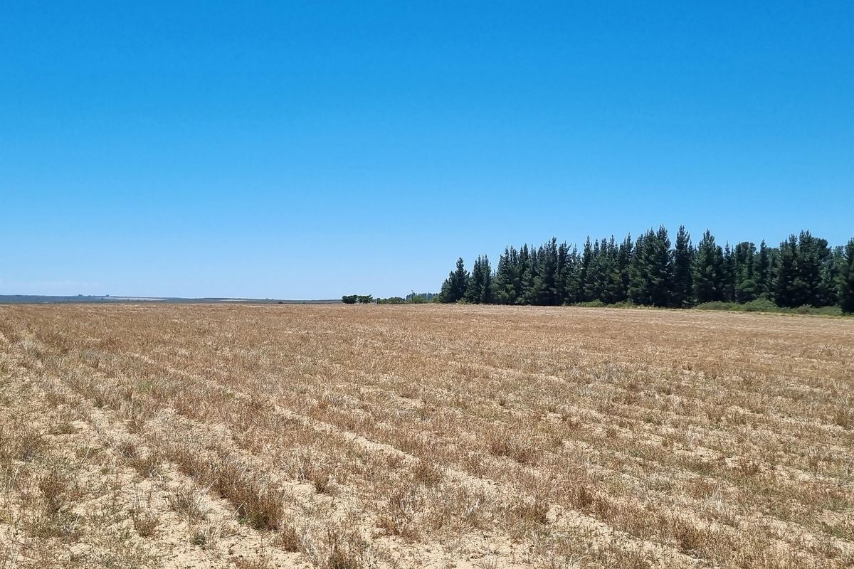 NIEUWOUDTVILLE FARM - 654 Ha - Photo 2