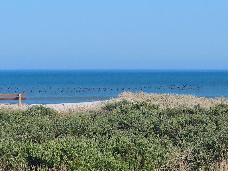 Make your dream a reality, build your dream home walking distance from the beach. - Photo 7