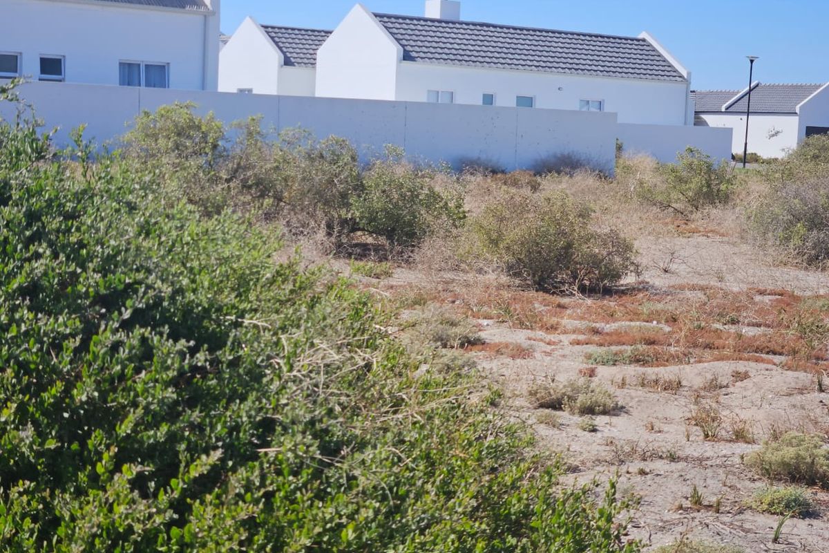 Rare Coastal Stand for Sale in Atlantic Sands South - Photo 5