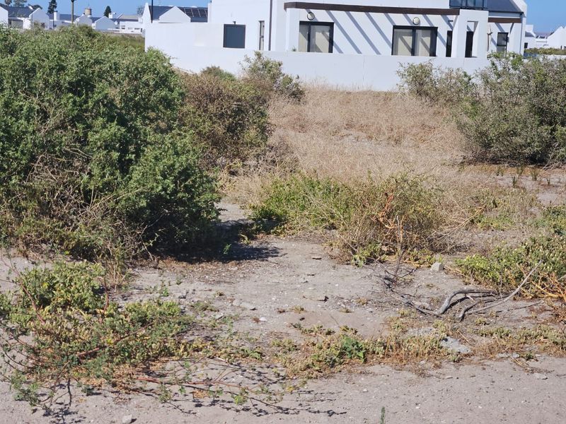 Rare Coastal Stand for Sale in Atlantic Sands South - Photo 6