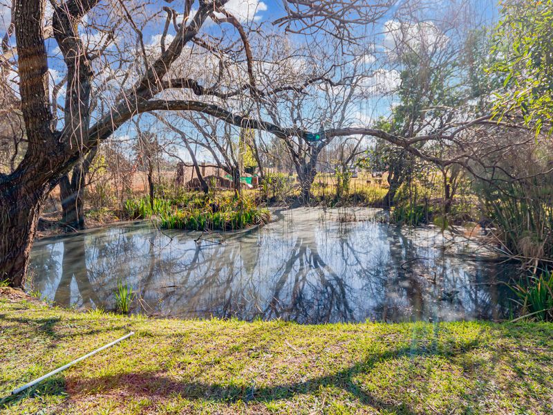 A tranquil garden setting featuring a natural pond surrounded by mature trees and established lawn area.