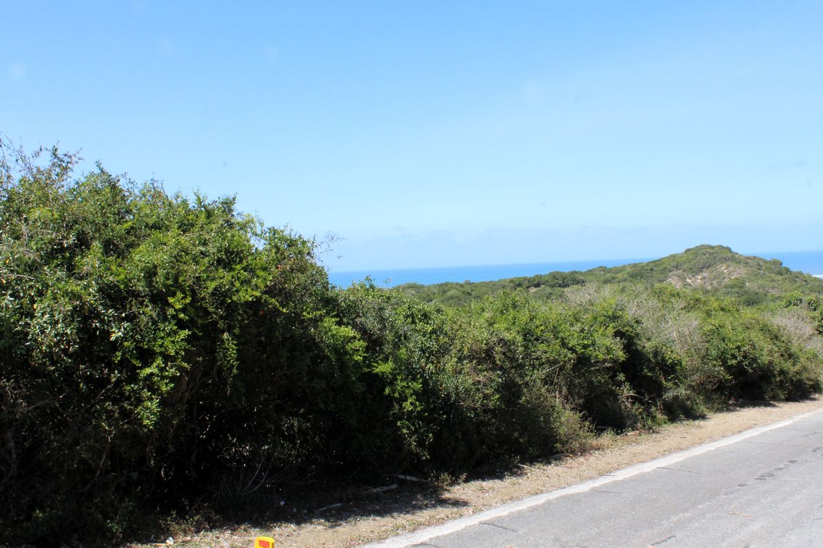 Vacant Land for Sale  in Begha, Eastern Cape - Photo 5