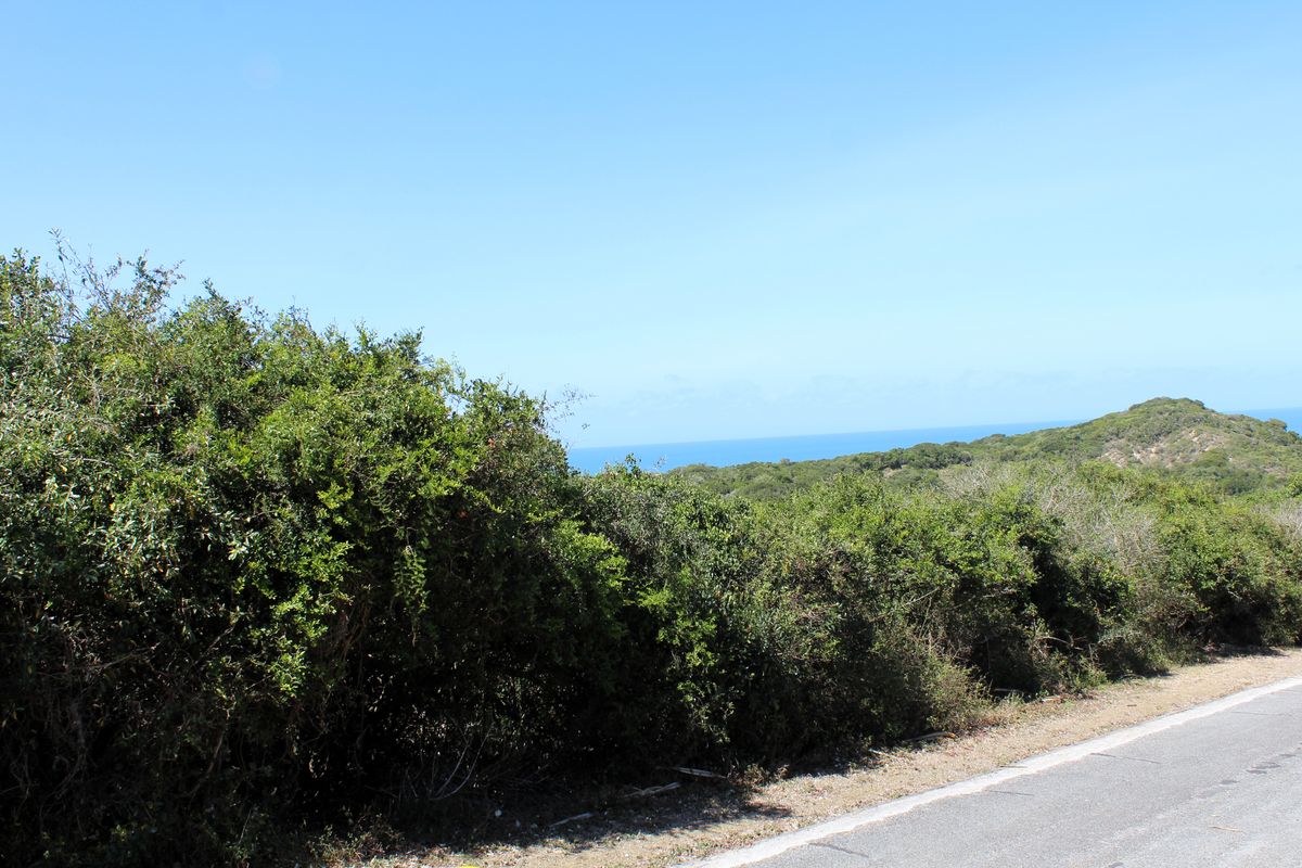 Vacant Land for Sale  in Begha, Eastern Cape - Photo 4