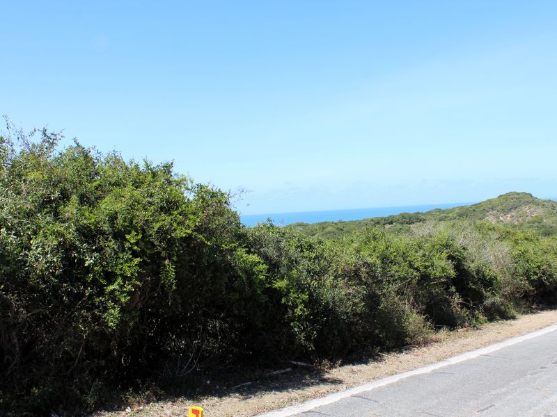 Vacant Land for Sale  in Begha, Eastern Cape - Photo 4